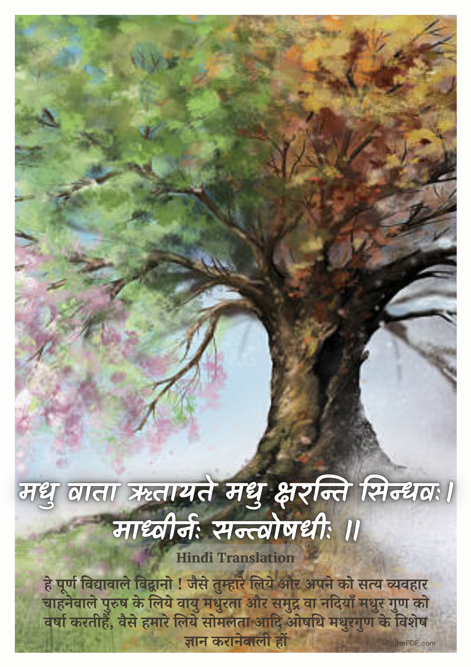 Sanskrit Quotes On Plants With Meaning: Best Quotes, Wallpapers, etc.