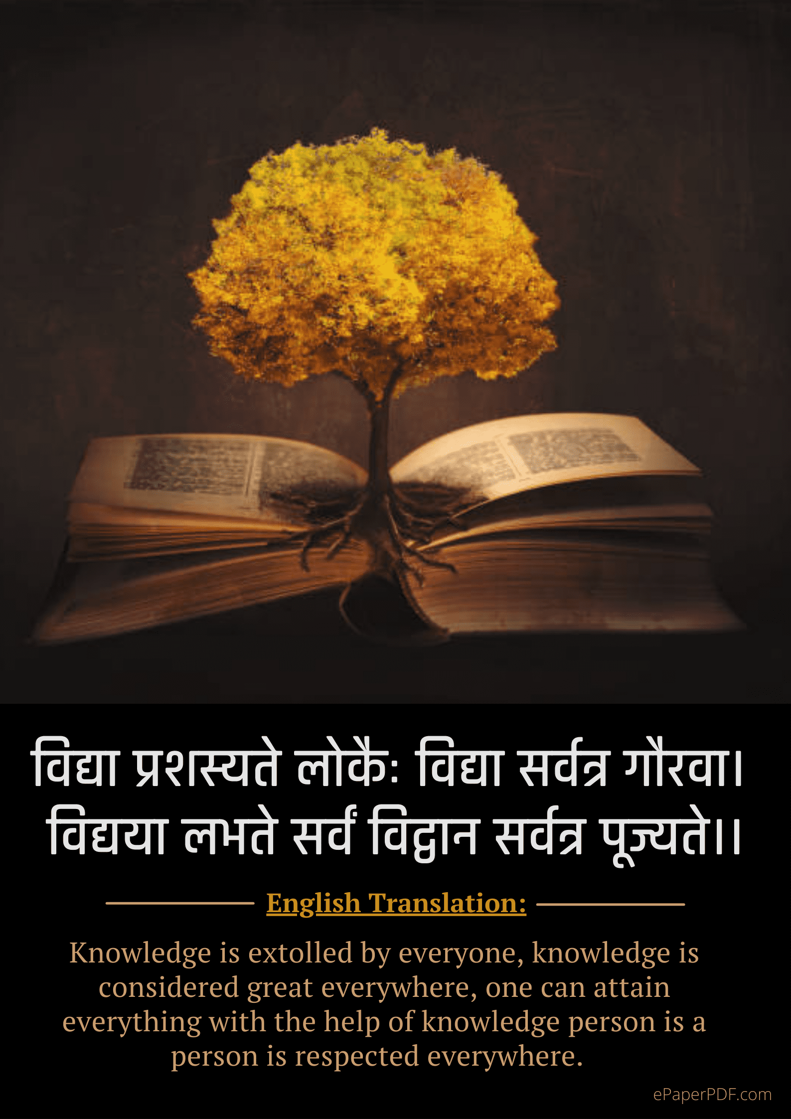 Sanskrit Quotes On Study with Meaning: Download HD Wallpapers